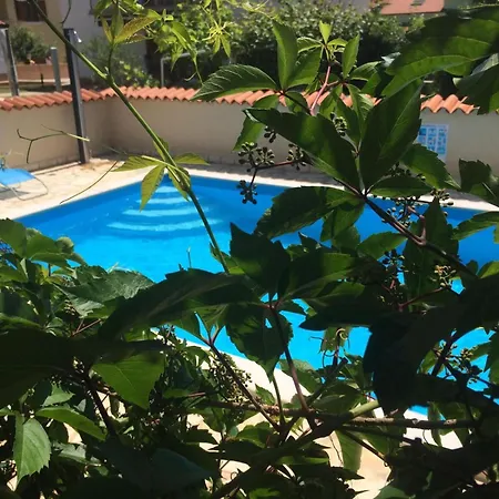 Komplette Mit Zwei By Interhome * Novigrad Istria